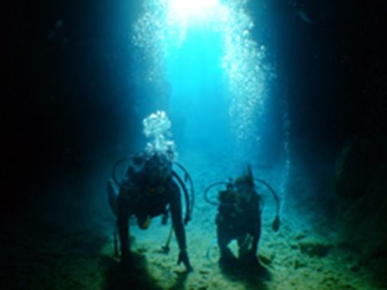 ブルーオーシャン合同会社5