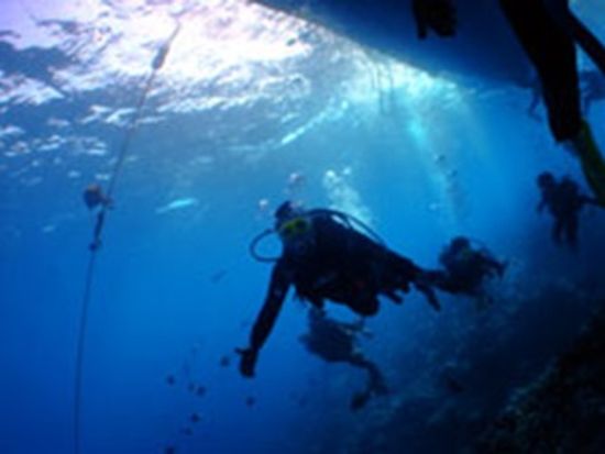 ブルーオーシャン合同会社4