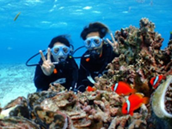 ブルーオーシャン合同会社6