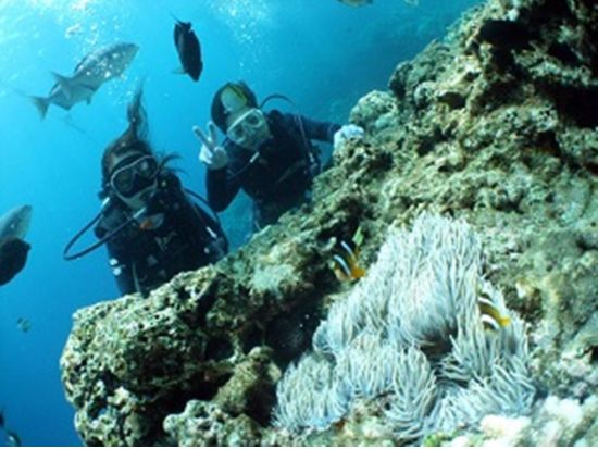 青の洞窟ボート体験ダイビング　身軽で参加できるバスタオルレンタルあり＜ボート／ガイド貸切／ショップ設備利用可／グリーン・フィンズ認定店／恩納村発＞