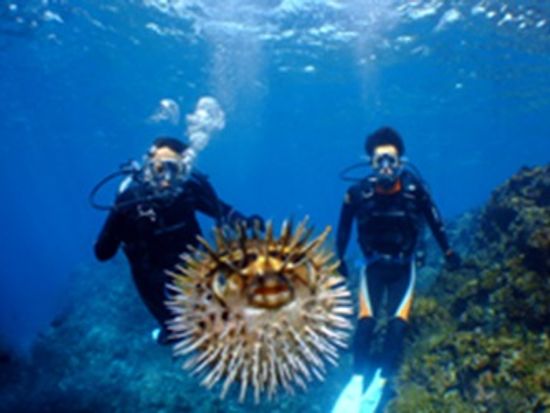 ブルーオーシャン7