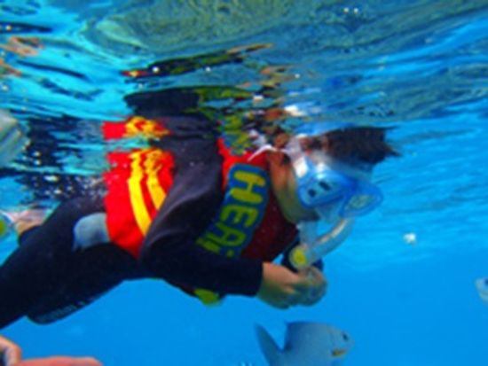 ブルーオーシャン合同会社42