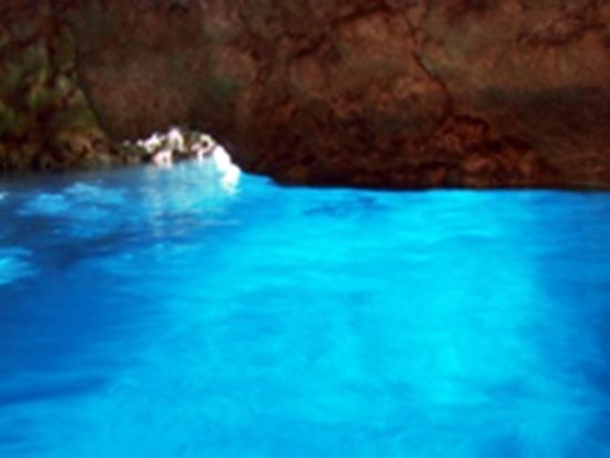 ブルーオーシャン合同会社43