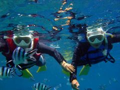 Family snorkeling with tropical fish all around