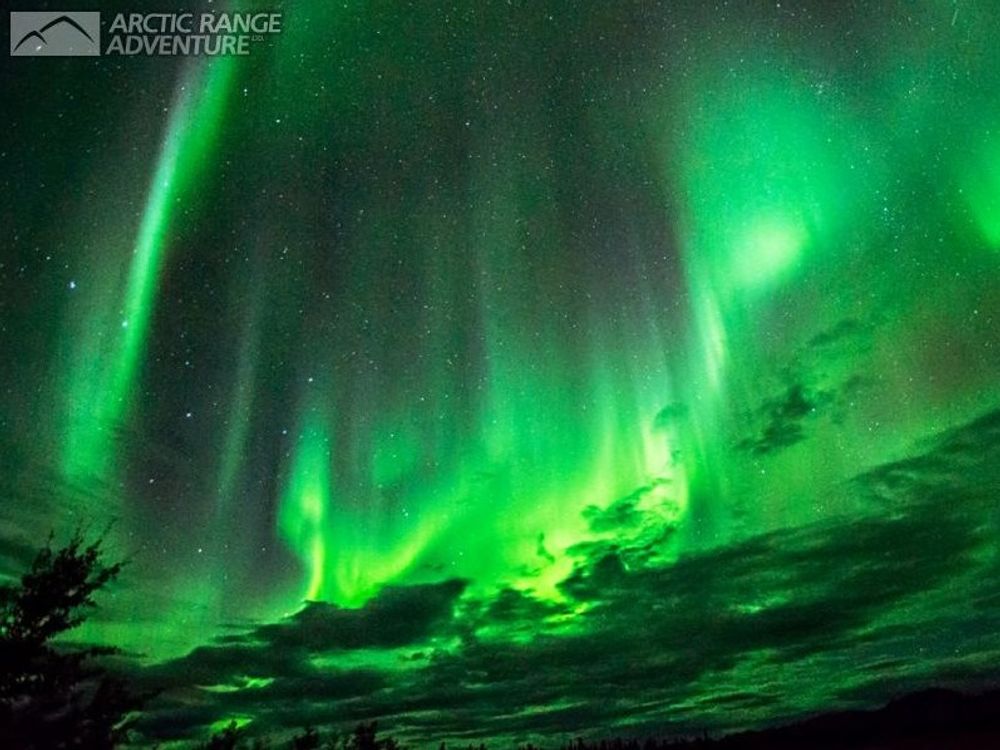 オーロラ鑑賞ツアー ホワイトホース宿泊パッケージ シティーツアー 空港送迎付き 3泊4日 8 4月 日本語または英語ガイド ホワイトホースの観光 オプショナルツアー専門 Veltra ベルトラ