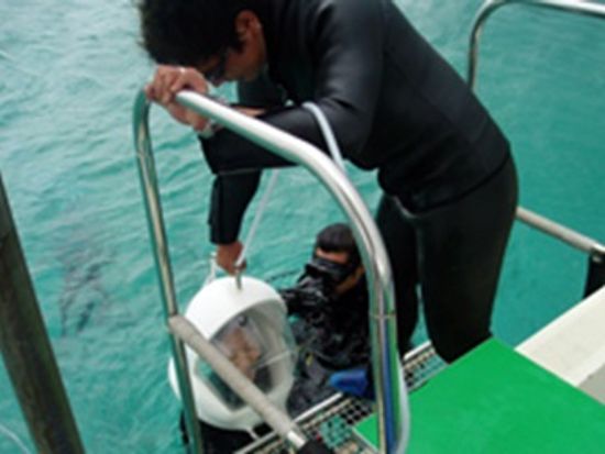 ブルーオーシャン合同会社65