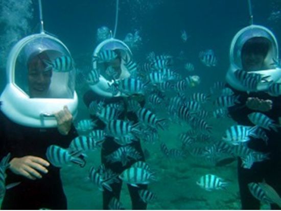 シーウォーク気軽に水中散歩を楽しもう！＜恩納村発＞ by ブルーオーシャン