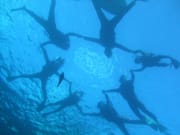Group photo of snorkelers taken underwater