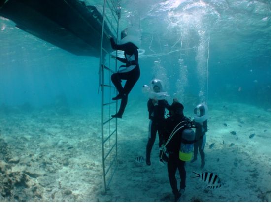 シーウォーク気軽に水中散歩を楽しもう！＜恩納村発＞ by ブルーオーシャン