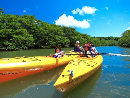 マングローブカヌー+ジャングルトレッキング+ピナイサーラの滝遊び　ちびっ子主役のツアーで子供の成長や興味関心を育む旅に！＜上原港または西部地区ホテル無料送迎＞