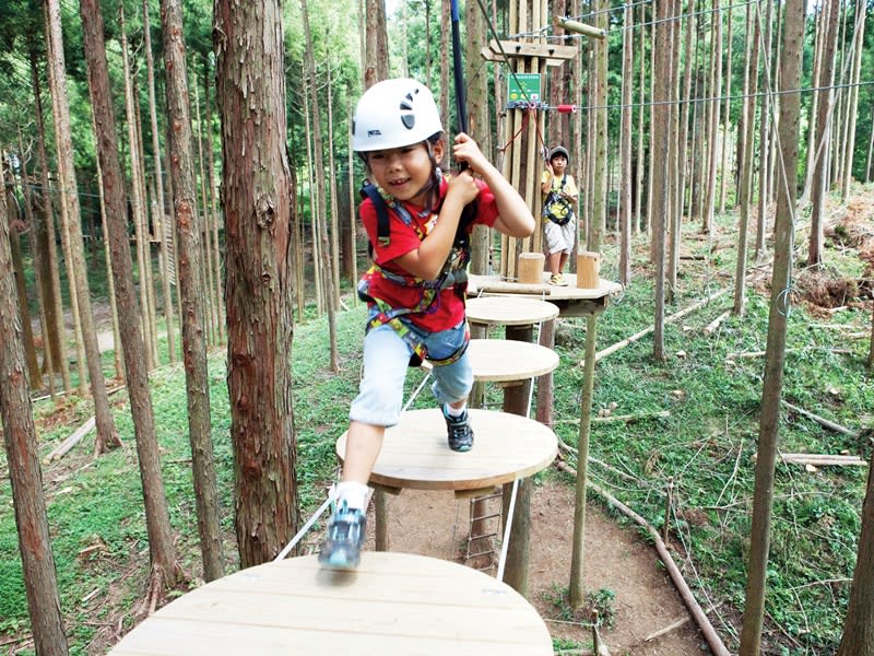 Kosuge Forest Adventure Course And Zip Line Tours Activities Fun Things To Do In Yamanashi Japan Veltra