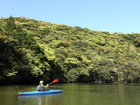 YNAC 屋久島野外活動総合センター12