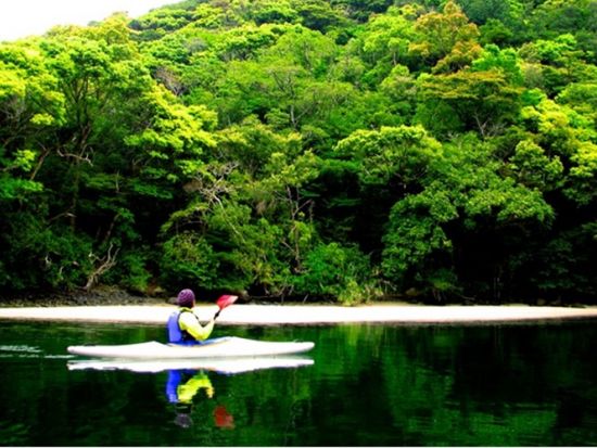 リバーカヤック＆川遊び 1日ツアー 焚き火を囲んで川原で楽しむアウトドア料理付き　by YNACクラシック