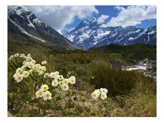 世界遺産マウントクック1泊2日宿泊ツアー　国立公園内にある人気ホテル「ハーミテージホテル」滞在＜朝・夕食付／英語／発着地選択可／Gray Line社＞