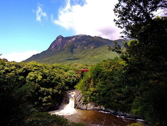 YNAC 屋久島野外活動総合センター20