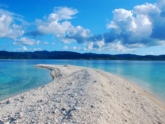 バラス島周辺シュノーケリング サクッと半日シュノーケリング　バナナボートやサブウィング付プランあり！午前または午後から選択＜西部地区ホテル無料送迎／西表島＞