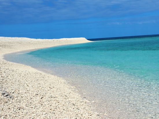 バラス島周辺シュノーケリング サクッと半日シュノーケリング　バナナボートやサブウィング付プランあり！午前または午後から選択＜西部地区ホテル無料送迎／西表島＞