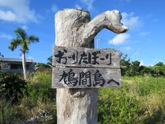珊瑚 (1) 海猫02