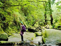 YNAC 屋久島野外活動総合センター122
