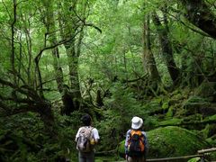 YNAC 屋久島野外活動総合センター124