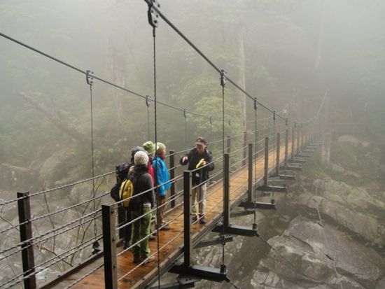 ヤクスギランドトレッキングツアー 150分のコースを5～6時間かけてゆっくりご案内  竹皮に包まれたおにぎり弁当付き by YNACクラシック
