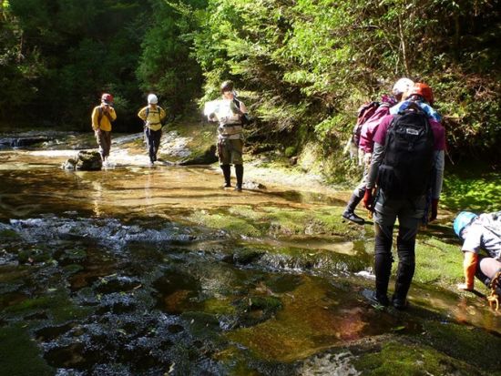 蛇之口滝トレッキングツアー　屋久島最大の滝の滝壺を目指す！下山後は名湯「尾之間温泉」でリラックス♪ ＜昼食込＞by YNACクラシック