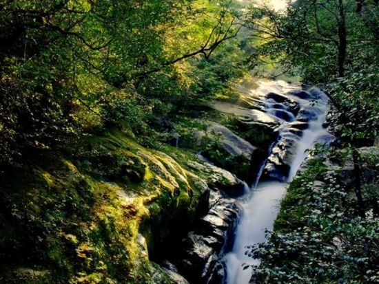 蛇之口滝トレッキングツアー　屋久島最大の滝の滝壺を目指す！下山後は名湯「尾之間温泉」でリラックス♪ ＜昼食込＞by YNACクラシック