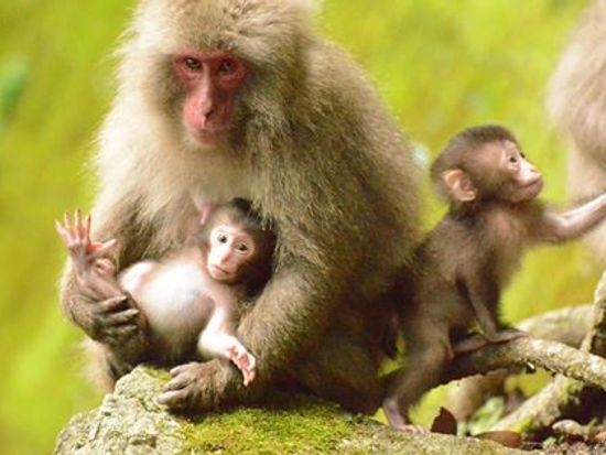 11011189_372800329585555_4278032181359084320_n