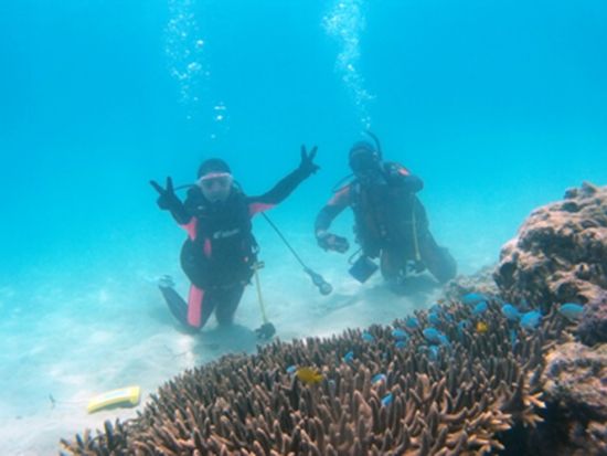 体験ダイビング半日ツアー  たっぷり45分の潜水時間で海中世界を堪能　午前または午後 ＜名瀬・龍郷町・笠利方面送迎可＞ by 奄美大島ダイビングエンドレスブルー