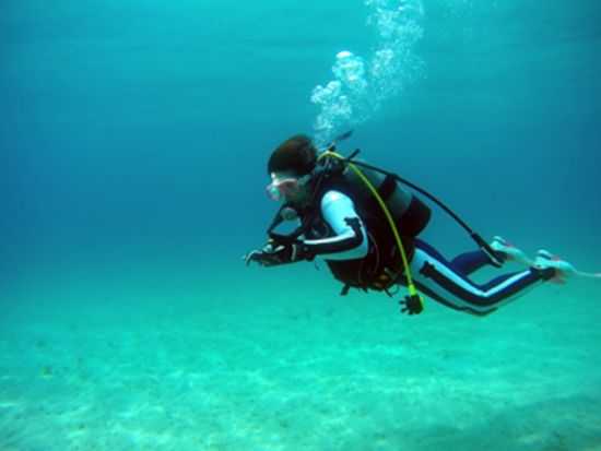 体験ダイビング半日ツアー  たっぷり45分の潜水時間で海中世界を堪能　午前または午後 ＜名瀬・龍郷町・笠利方面送迎可＞ by 奄美大島ダイビングエンドレスブルー