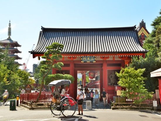 【愛犬連れOK】人力車観光 30分プラン 雷門＋二天門＋仲見世通り 浅草の王道へご案内＜ガイド付／浅草＞by えびす屋 浅草店