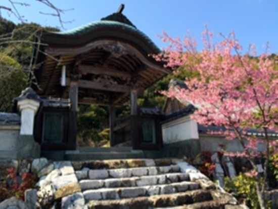 福井タクシー清滝寺さくら