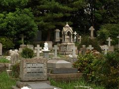 Cめぐろうよ!!よこはま歴史(ガイド付き) 外国人墓地