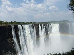 victoria_zim