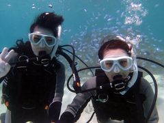 フージーパナリdiving9