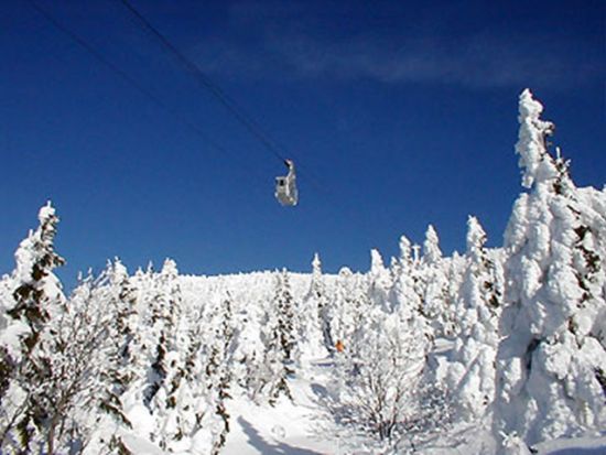 貸切観光タクシー 山形市内・上山市内発着　蔵王樹氷鑑賞コース＜12～3月／2時間～2時間半＞