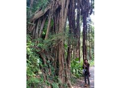 ^36C70736AAC763DE38204C0CA3804A955611052FC92B84BF54^pimgpsh_fullsize_distr