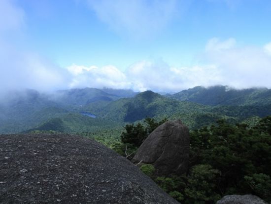 太忠岳（ヤクスギランド『蛇紋杉→天文の森→太忠岳山頂』） 日帰りトレッキングツアー＜貸切、登山装備レンタル可能＞ by 屋久島ガイド　山好き