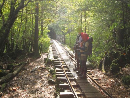 宮之浦岳～縄文杉 縦走キャンプツアー 山に泊まって自然を味わう1泊2日 白谷雲水峡にも行けるコースあり ＜装備レンタル可／貸切可＞ by 屋久島ガイド　山好き