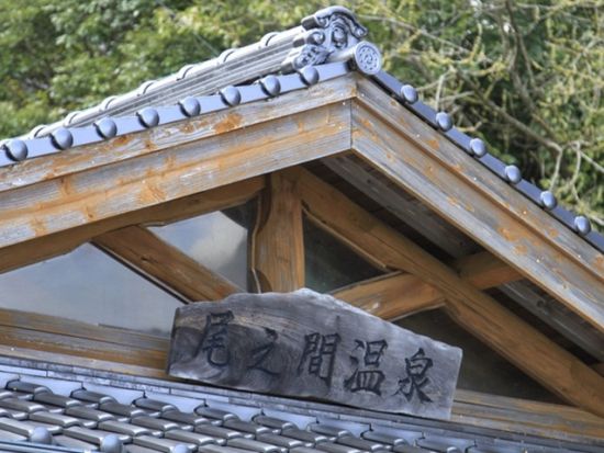 蛇之口の滝日帰りトレッキングツアー 秘境の滝を目指す！ 尾之間温泉で山歩きの疲れを癒やす♪ ＜貸切、登山装備レンタル可能＞ by 屋久島ガイド　山好き