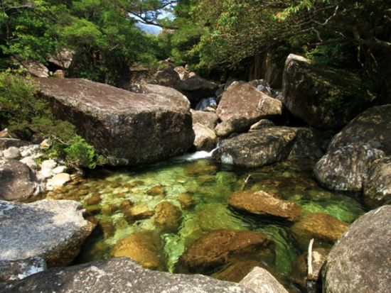 蛇之口の滝日帰りトレッキングツアー 秘境の滝を目指す！ 尾之間温泉で山歩きの疲れを癒やす♪ ＜貸切、登山装備レンタル可能＞ by 屋久島ガイド　山好き