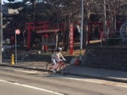 円山自転車散策 2