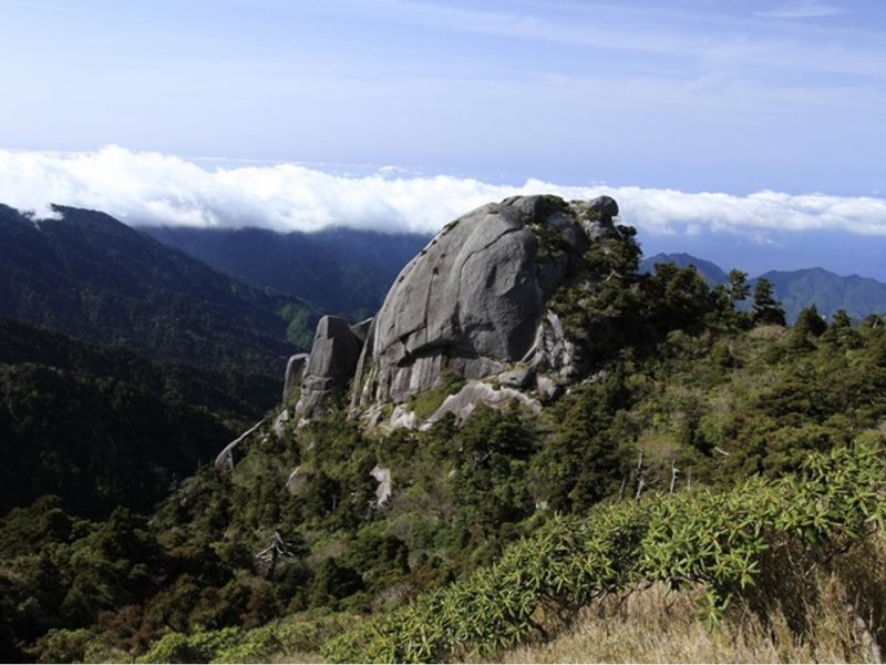 宮之浦岳 縄文杉 縦走キャンプツアー 山に泊まって自然を味わう1泊2日 白谷雲水峡にも行けるコースあり 装備レンタル可 貸切可 By 屋久島ガイド 山好き 屋久島の観光 オプショナルツアー専門 Veltra ベルトラ