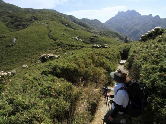 宮之浦岳～縄文杉 縦走キャンプツアー 山に泊まって自然を味わう1泊2日 白谷雲水峡にも行けるコースあり ＜装備レンタル可／貸切可＞ by 屋久島ガイド　山好き