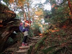 縄文杉4