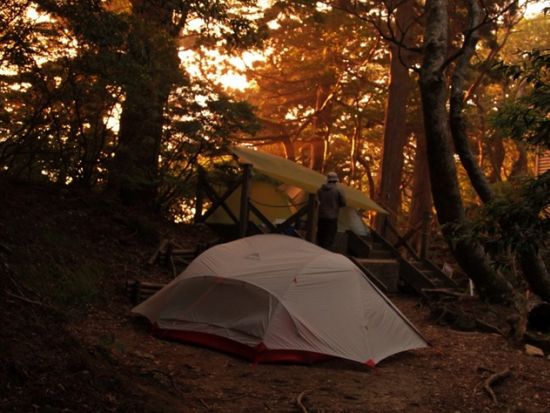 縄文杉トレッキング 1泊2日キャンプツアー  ガイドの手作り料理も味わえる！＜貸切、登山装備レンタル可能＞ by 屋久島ガイド 山好き