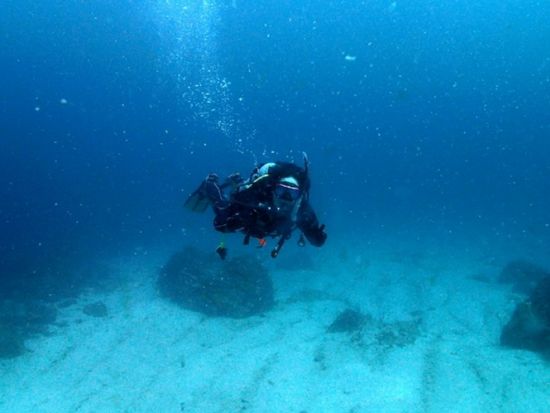 体験ダイビング 伊東 伊豆海洋公園でリゾート気分を味わいながら！＜ビーチ／1ダイブ＞by エントリーダイビングスクール