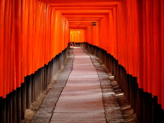 True Japan Tour Kyoto Tours Activities Booking Website Veltra