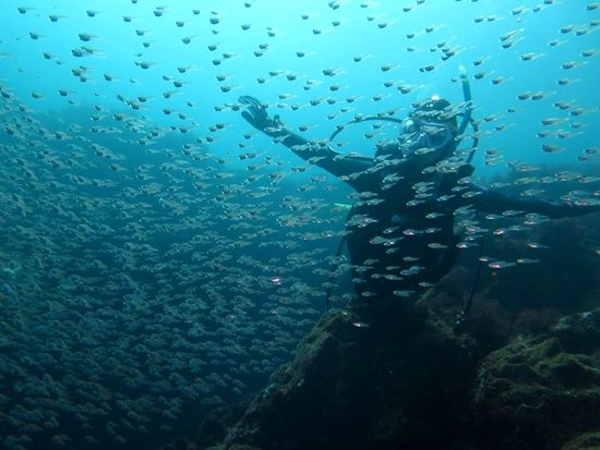 プール講習付伊豆半島ダイビング　アクア・ブーチェ06