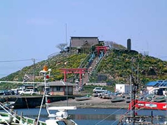 貸切観光タクシー 三陸復興国立公園種差海岸・蕪島と約60店舗が軒を連ねる巨大市場「八食センター」を巡る旅＜3時間／通年／JR・青い森鉄道八戸駅又は八戸市内発着＞